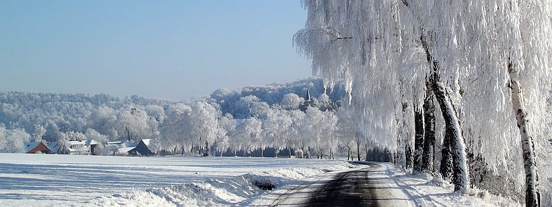 Erbsen, foto Hille