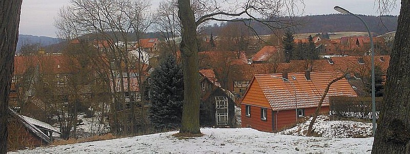 Erbsen, Foto Hille